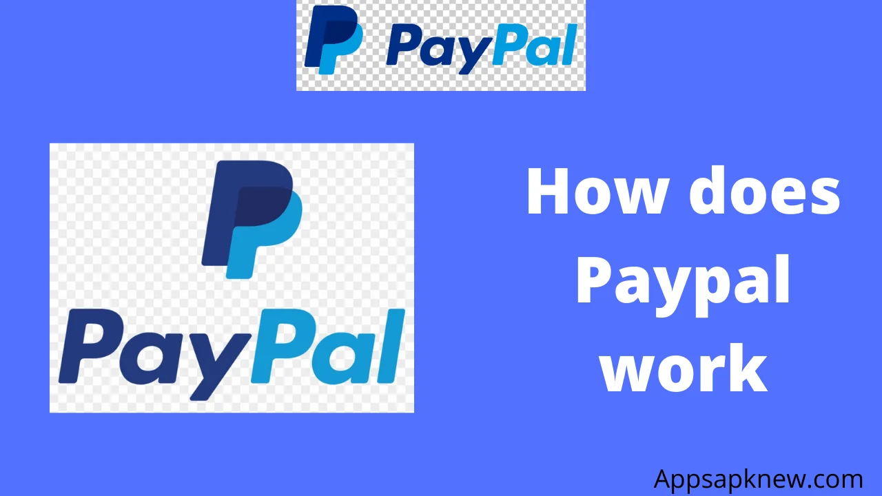 Paypal work