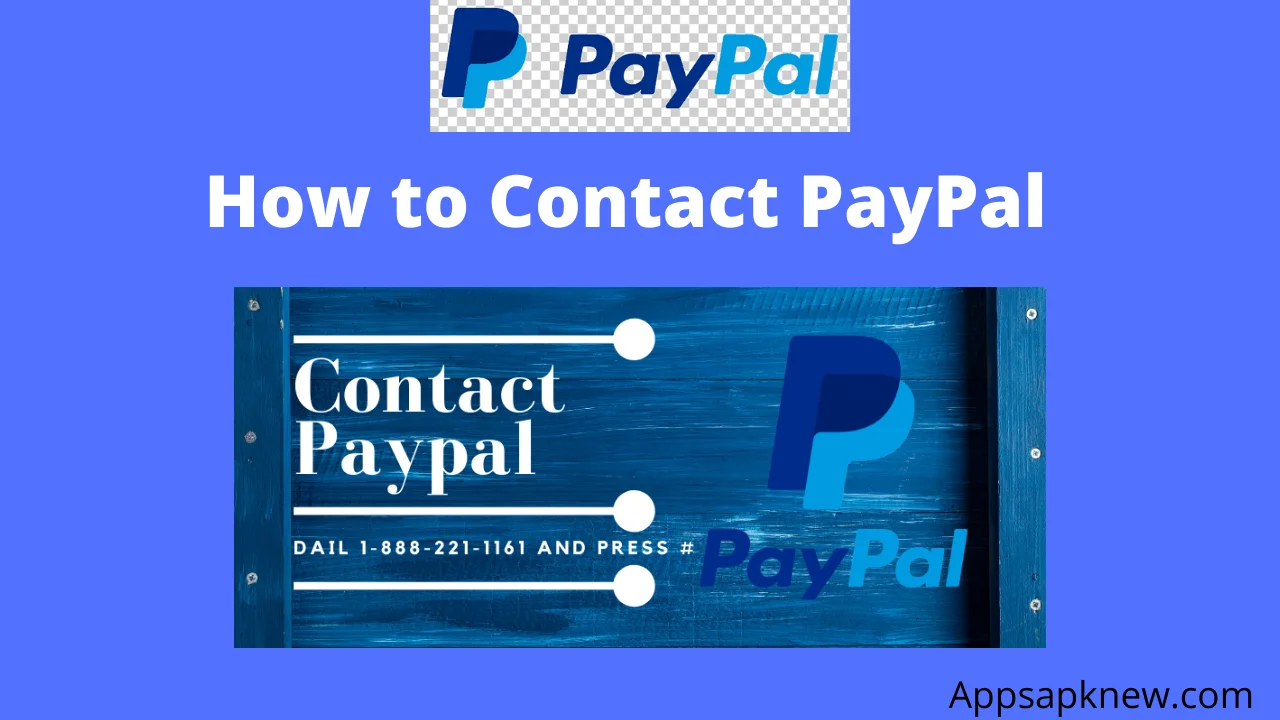 Contact PayPal