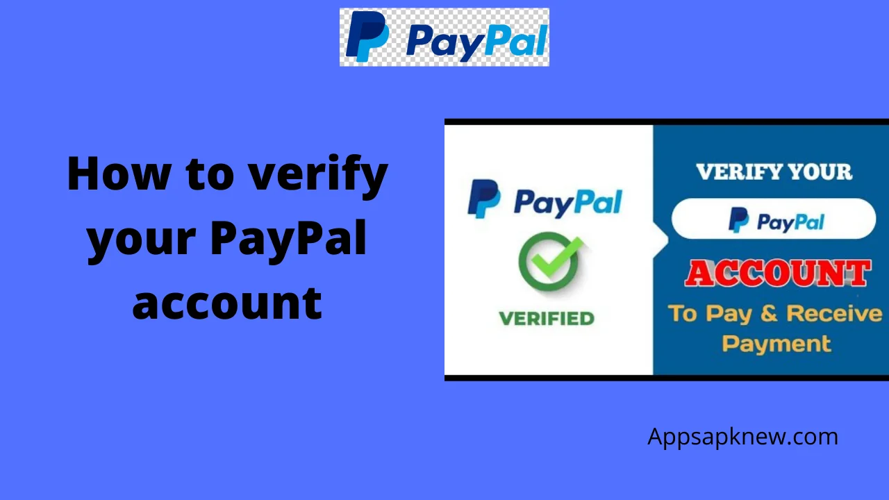 verify your PayPal account