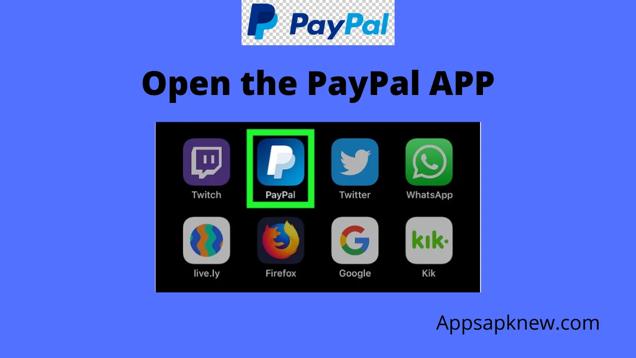 Send Money through PayPal