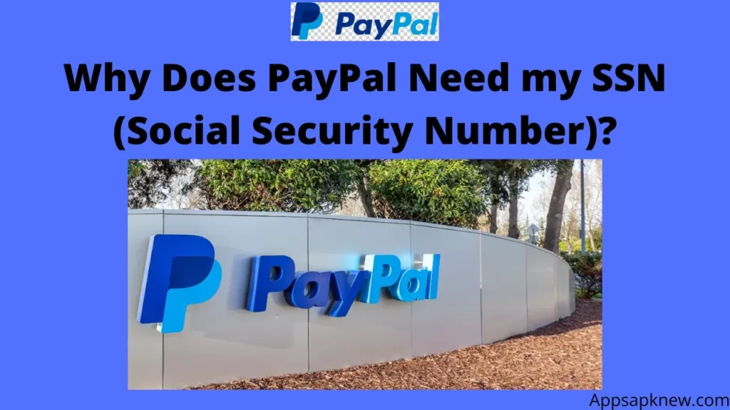 PayPal Need my SSN