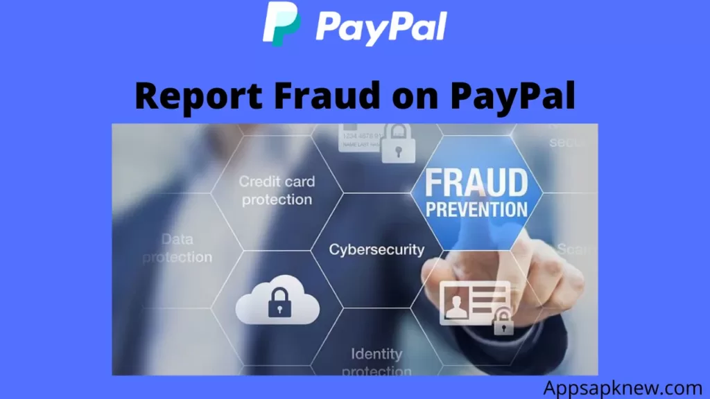 Report Fraud on PayPal