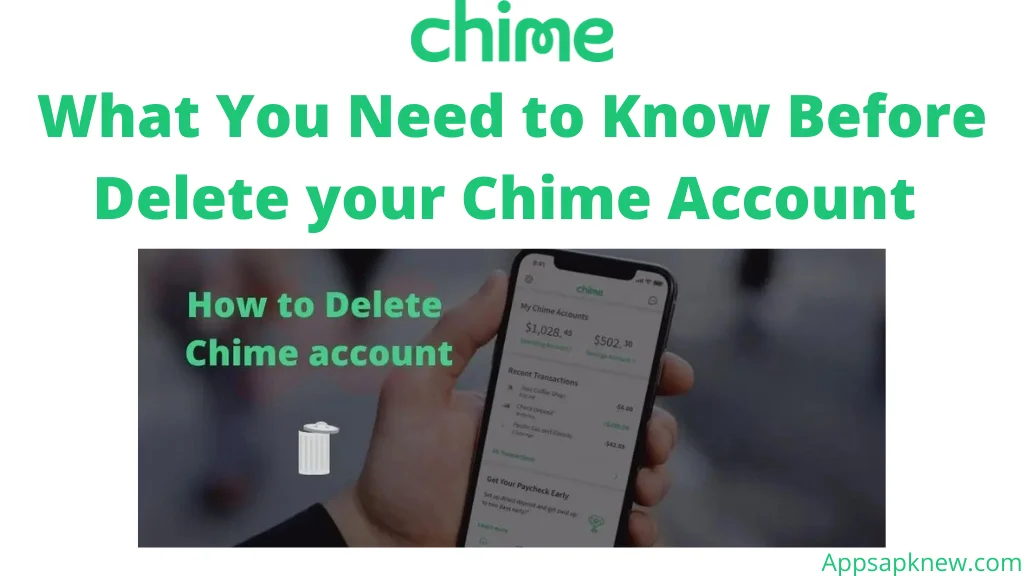 Delete Chime Account